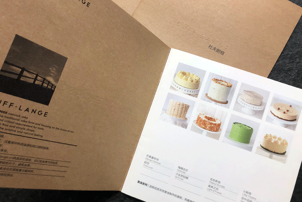 石家莊宣傳畫冊設(shè)計