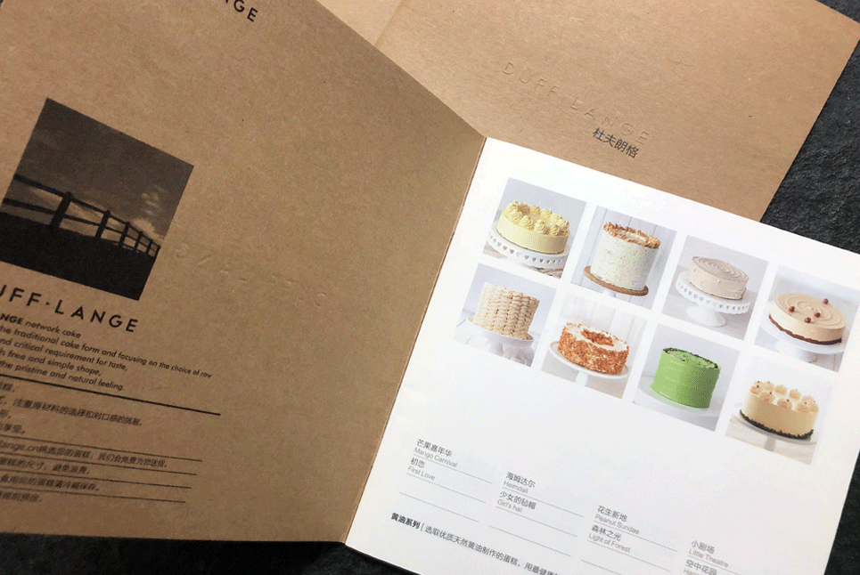 企業(yè)宣傳畫冊設(shè)計(jì)